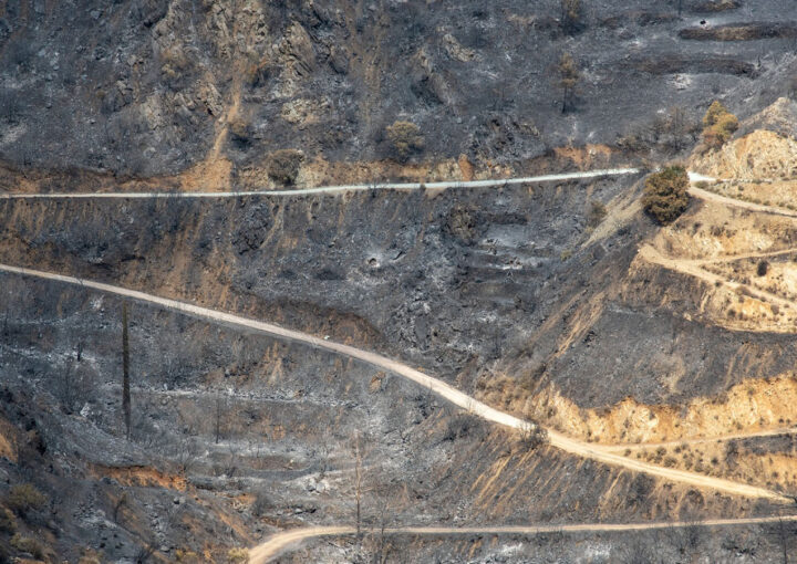 The intergovernmental panel on climate change